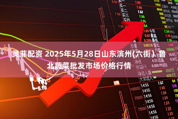 灵菲配资 2025年5月28日山东滨州(六街）鲁北蔬菜批发市场价格行情