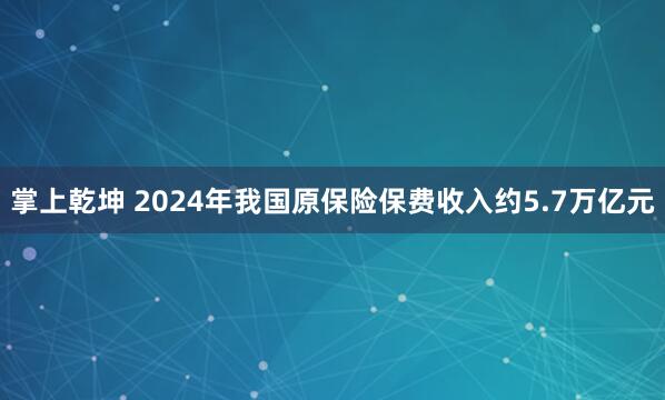 掌上乾坤 2024年我国原保险保费收入约5.7万亿元