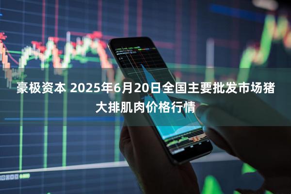 豪极资本 2025年6月20日全国主要批发市场猪大排肌肉价格行情