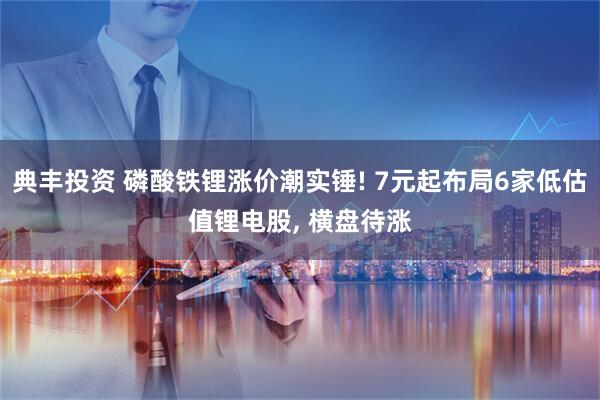 典丰投资 磷酸铁锂涨价潮实锤! 7元起布局6家低估值锂电股, 横盘待涨