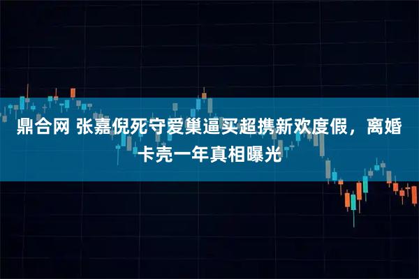 鼎合网 张嘉倪死守爱巢逼买超携新欢度假，离婚卡壳一年真相曝光
