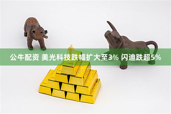 公牛配资 美光科技跌幅扩大至3% 闪迪跌超5%